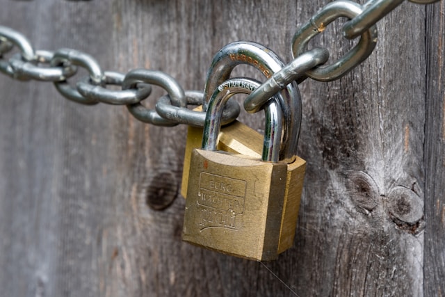 Image of one chain and two locks