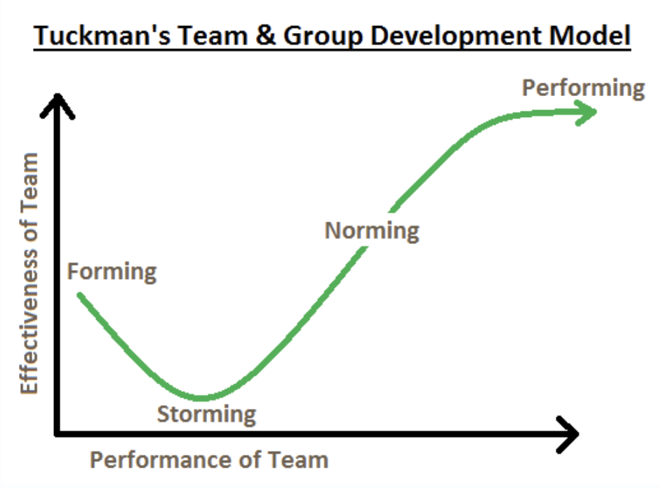 Tuckman's Forming, Storming, Norming, and Performing model.